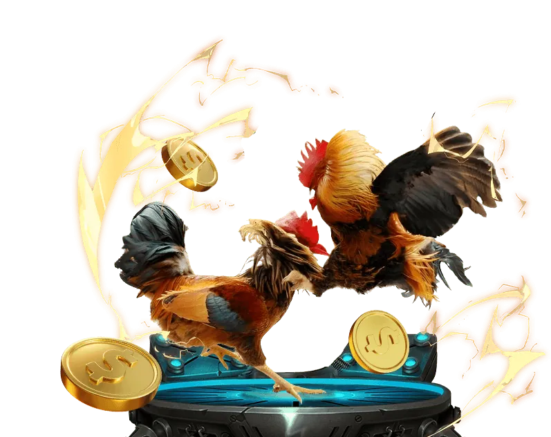 Cách vanmay777 đăng nhập sử dụng dữ liệu người dùng để cải thiện dịch vụ và bảo mật